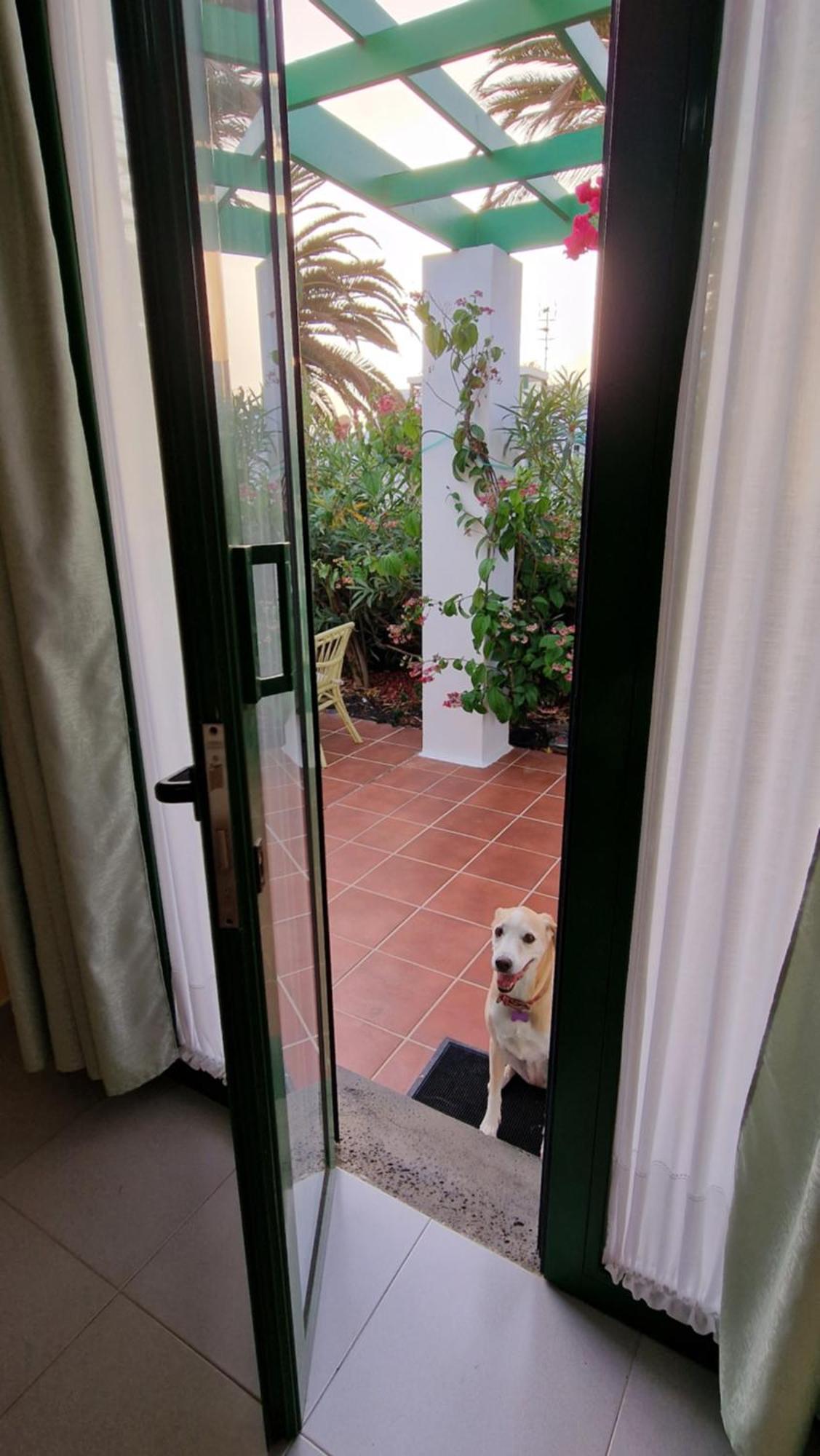 Villa Casa Maracuya Costa Teguise Exterior foto